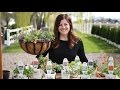 Planting up Spring Color // Garden Answer