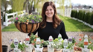 Planting up Spring Color // Garden Answer
