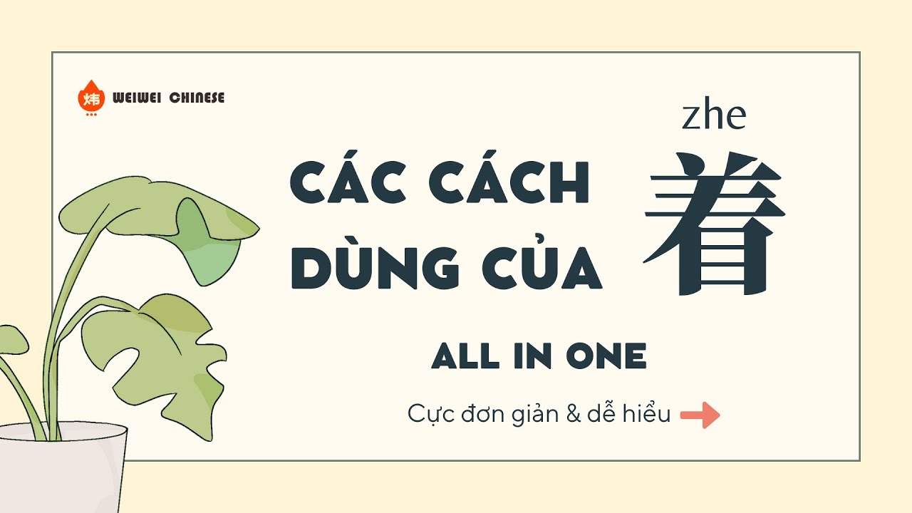 TRỢ TỪ ĐỘNG THÁI 着 zhe | TẤT CẢ CÁC CÁCH DÙNG CỦA 着 | NGỮ PHÁP TIẾNG TRUNG CƠ BẢN | HSK2/HSK3/HSK4