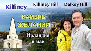 Ирландия🇮🇪Killiney Hill/Камень желаний/Где растёт черемша/Южный Дублин/Порода собаки/Малиновка