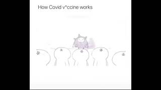 how covid vaccine work