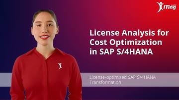 License Analysis for Cost Optimization in SAP S/4HANA