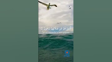 سورة الماعون #قران_كريم #خلفيات_سوداء #ايات_القرآن_الكريم #سورة_الماعون