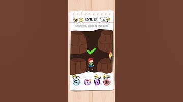 Level 295 brain test