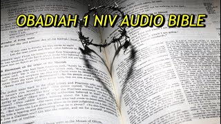 OBADIAH 1 NIV AUDIO BIBLE(with text) Profile