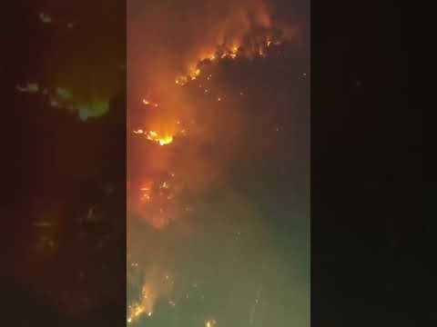 Video Incendio a Vedriano: Vigili del Fuoco in Azione per Spegnere il Rogo di 5 Ettari