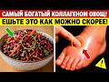Прощай, отёки! 8 овощей, которые нужно есть для выработки коллагена и здоровья суставов