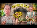 تجربه‌ی ترسناک در بزرگ‌ترین باغ‌وحش خزندگان کانادا😵‍💫| Reptilia Zoo Toronto