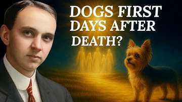 What Happens To The Soul Of Dogs In The First Days After Death | Edgar Cayce Revealed