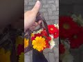 Flower Bouquet 💐 #youtubeshorts #shortsvideo #shorts #shortvideo #short #youtuber #youtubechannel