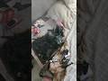 هیچوقت موقع خواب گوشی رو زیر بالش نذارید