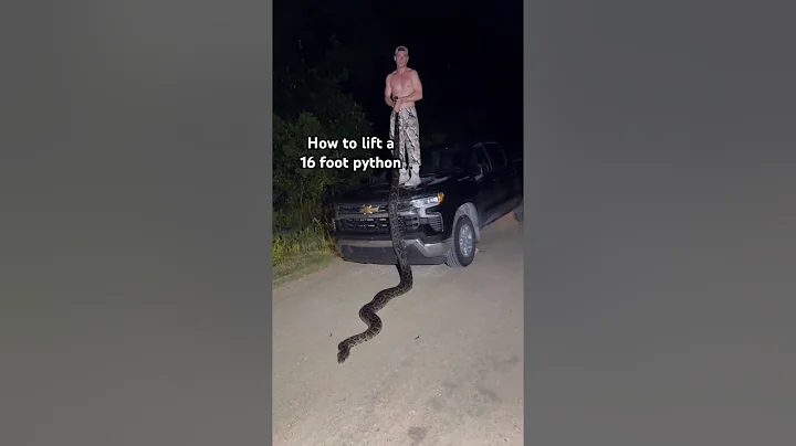 How to lift a 16 foot python that weighed 104 lbs!!