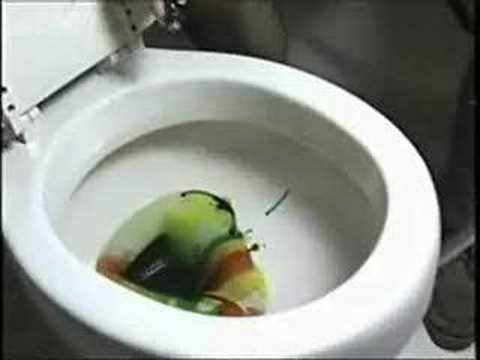 Toilygraph Toilet Bowl Art - VOA Story