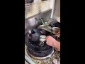 LIVE from Food Stall | Stir-Fry Technique &amp; Cooking Rhythm | Subscribe Now