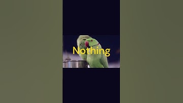 2 "Riddle Me This: Unraveling the Ultimate Conundrums!"