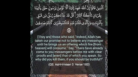 القرأن الكريم سورة ال عمران من الأية 183 الى الأية 184 quran Translated to English #quran #relaxing