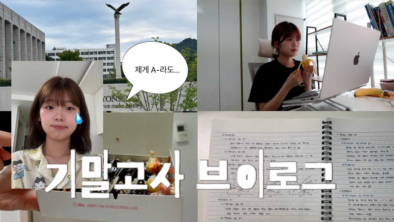 3학년도 끝~…👋🏻 경제학과 6번째 기말고사 브이로그! + 소속사 네트워킹