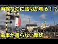 電車が通らない踏切。廃線なのに踏切が作動する！？鉄道珍スポット第18弾。