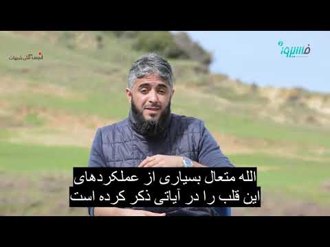 احساسات از کجا سرچشمه میگیرد قلب یا مغز