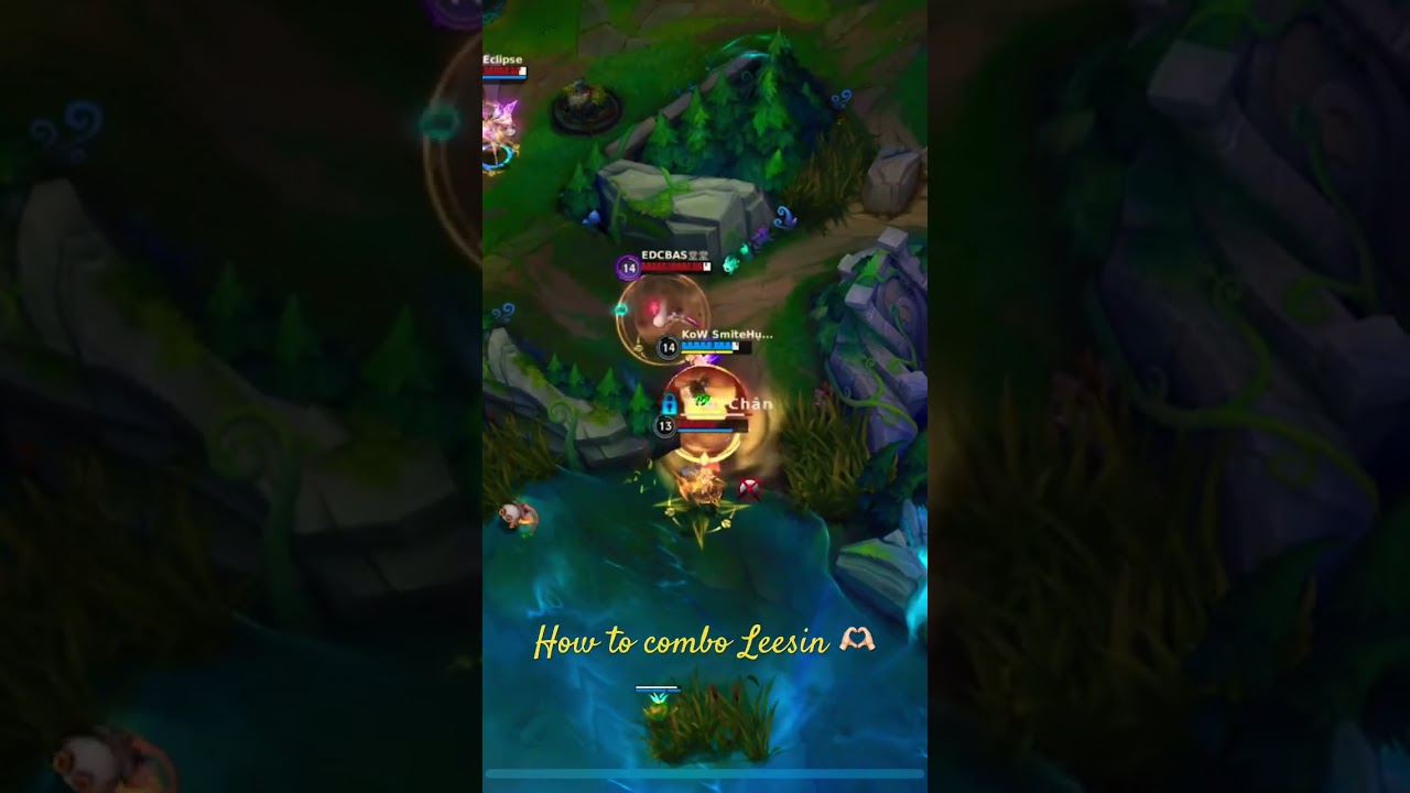 Leesin Combo Kill Vayne easy 