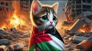 Download lagu Kucing Imut Nyanyi Atuna Tufuli dengan Lirik Lagu Palestina 3