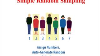 SY2/SY4 Sampling part 1