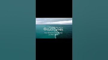 القارئ عمير شميم(مرج البحرين يلتقيان) Reader Amir Shamim