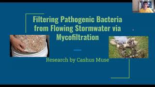 Download Lagu Final Lisef Presentation MP3