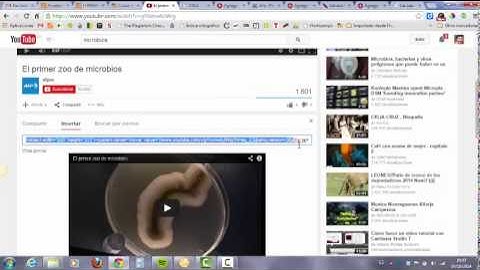 Cómo insertar un vídeo en un foro de la Moodle 2.5