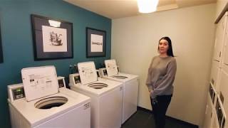 Information Bothell Ridge Apartments Cozy 1 bedroom Update