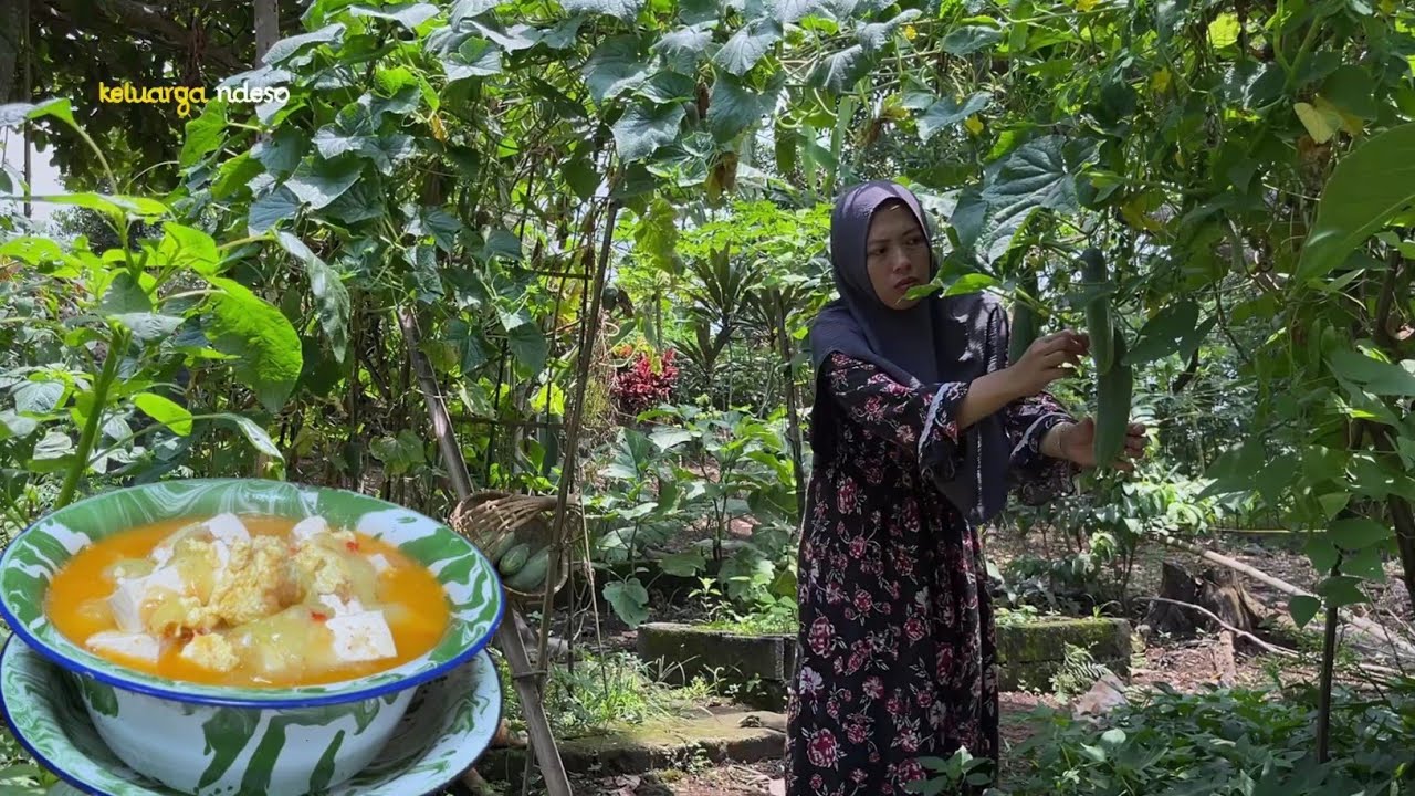 Panen timun melimpah, masak kuah timun tahu putih, untuk sarapan, masakan desa, nikmat luar biasa