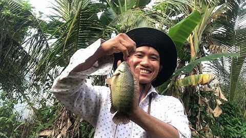 Câu cá Rô đồng bắt được Trùm cuối sướng tê tay @Caucalongan62