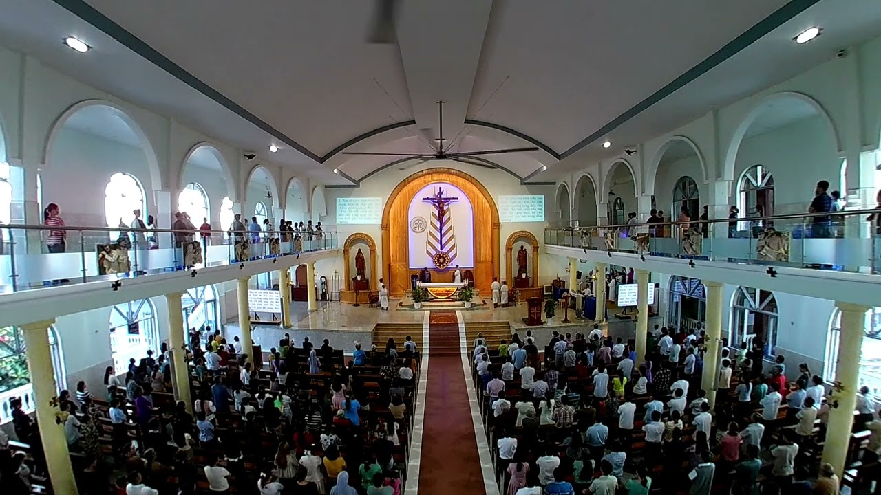 Nhập Lễ ( CN tuần 2 MC năm A )