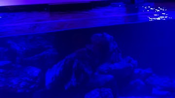 How to make Waterbox plumbing silent!