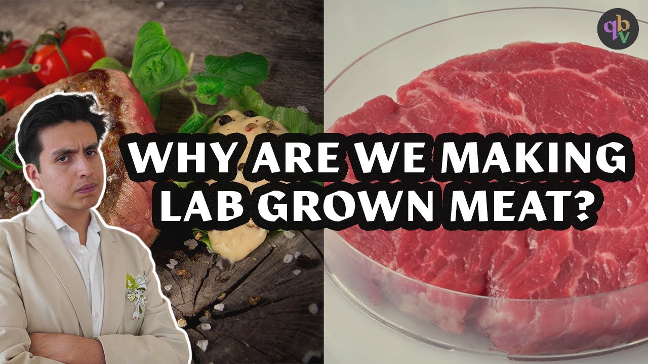 Why Lab Grown Meat Could Change Everything or Not. YouTube