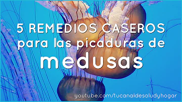 ¿Es bueno el vinagre para las picaduras de medusa?