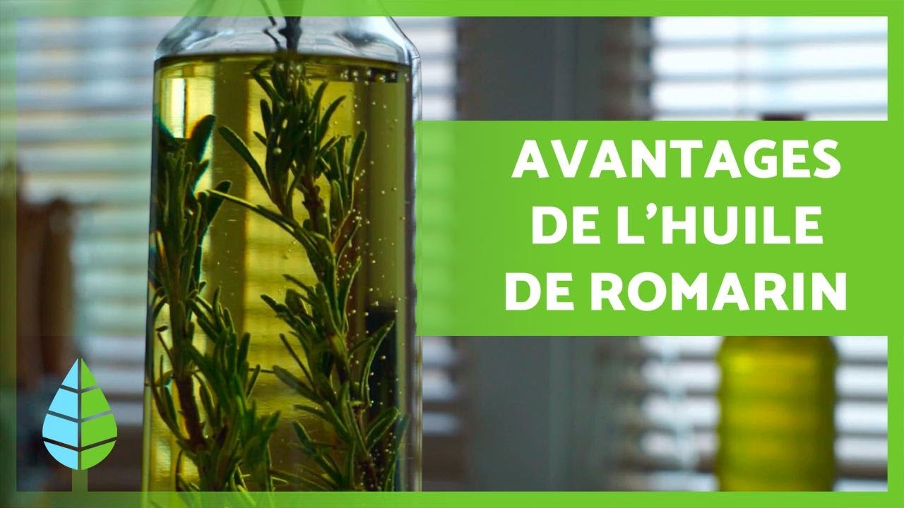 L'huile de romarin, un ingrédient naturel pour des cheveux plus