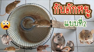 กับดักหนู แบบที่ 2 ง่ายกว่าแบบที่ 1