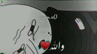 اغنية زعلان انا مش ندمان ابدا عليك