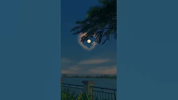 بدونك لا ليلي ليل ولا نهاري نهار 