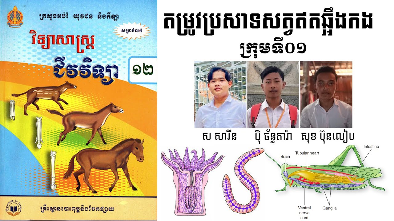 តម្រូវប្រសាទសត្វឥតឆ្អឹងកង - ជីវវិទ្យាថ្នាក់ទី១២