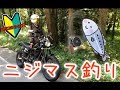 【バイク女子】初めてニジマス釣りに挑戦してみたよ🎣ニジマスを釣って食べてみた"モトブログ"