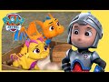 Rescue Knights, Baby Dragons  MORE 🏰 PAW Patrol | Cartoons for Kids