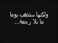 الطائر الحزين 