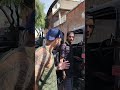 LADRAO DE CAMINHAO , Foi Preso