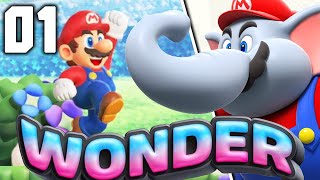 Aventure Prodigieuse 1/16 Super Mario Bros Wonder 100% (Gameplay FR)