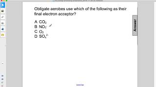 Bio Energy Processing Q19
