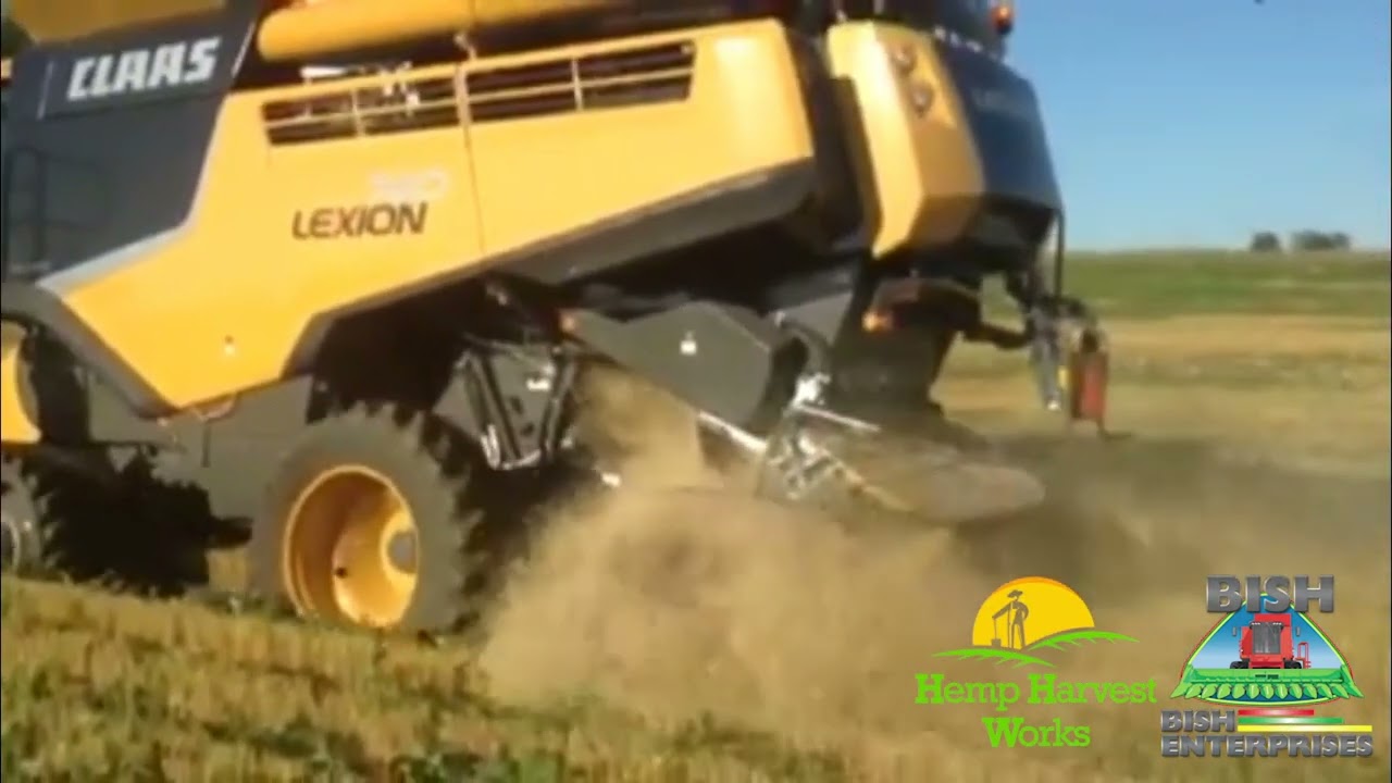 SuperCrop® Header - Twin Row Wheat Harvest