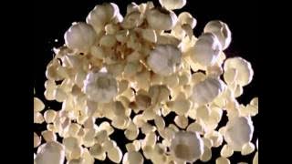 Download lagu Sajiku Tepung Bumbu