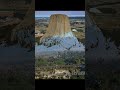 この地球に山や森は存在しない…【 都市伝説 巨大樹 デビルズタワー 】